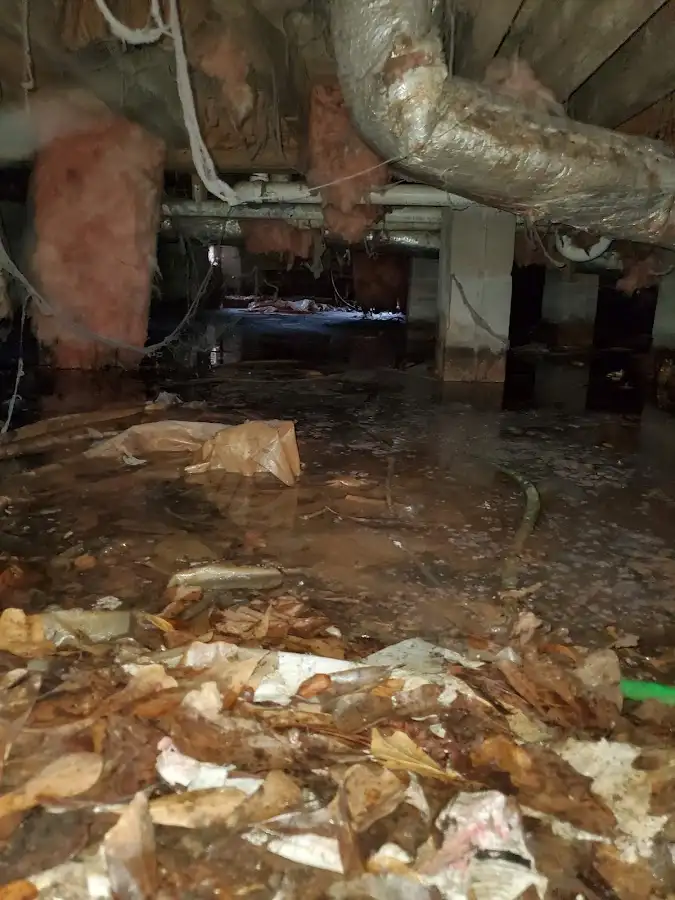 Crawl space flood assessment for Leak Detection & Repair in Lake San Marcos